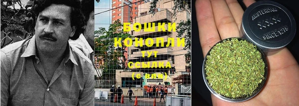 дживик Горнозаводск