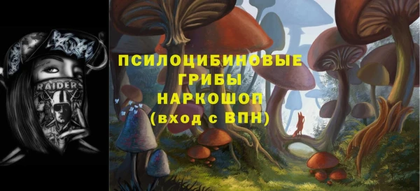 дживик Горнозаводск