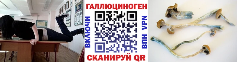 kraken зеркало  Зея  Галлюциногенные грибы прущие грибы 